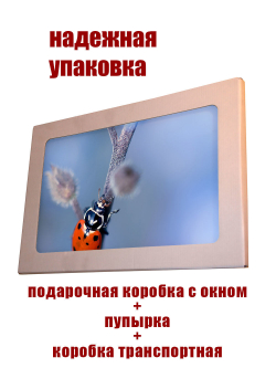 Фото картина на стекле , на стену , в подарок "Милые животные" 28х40 см.