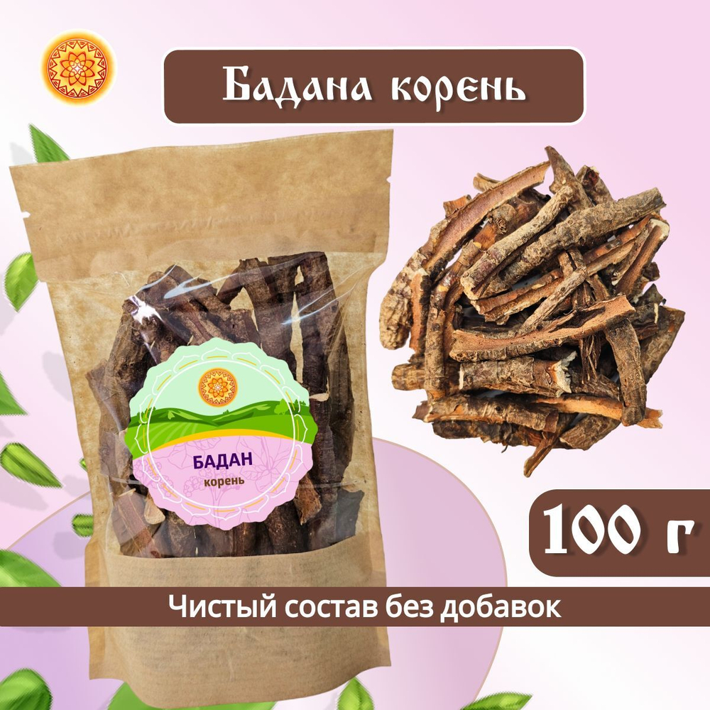 Бадан корень.