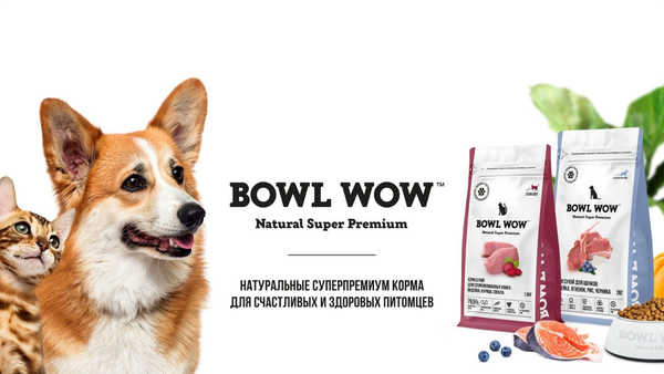 О Bowl wow
