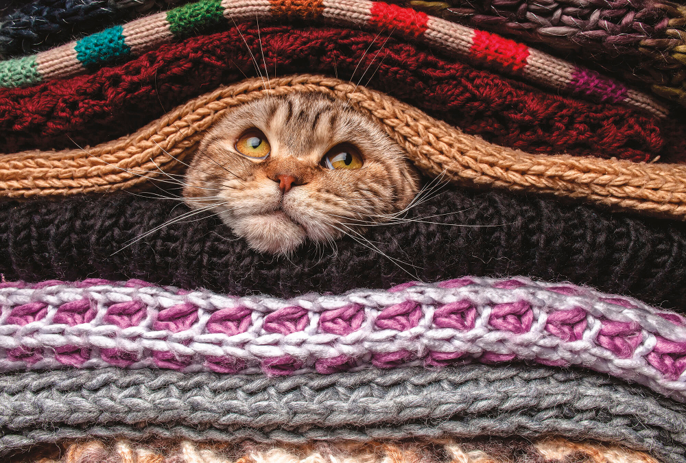 Коллекция Животные