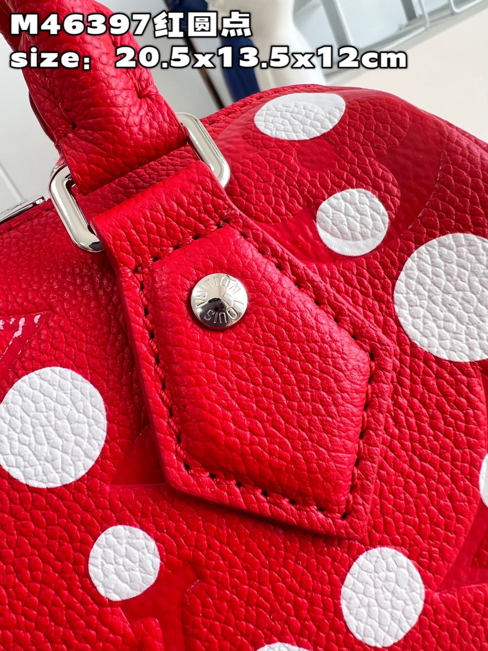 Louis Vuitton Speedy 20