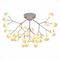 Потолочная люстра Evoluce Avola SLE250102-36