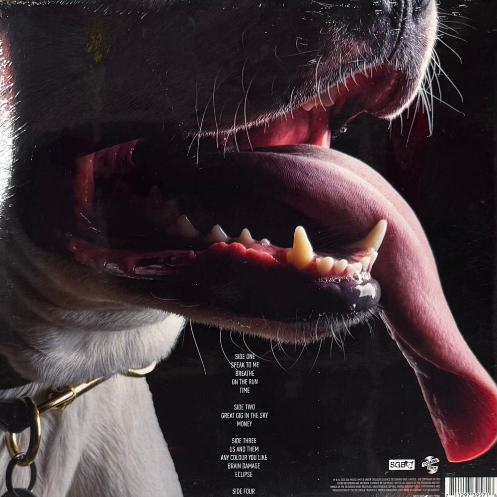 Виниловая пластинка Roger Waters ‎– The Dark Side Of The Moon Redux 2LP