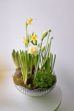 Композиция с первоцветами в вазе размер L