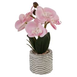 GAEM Цветочная композиция "Орхидея", L14 W12 H29 см