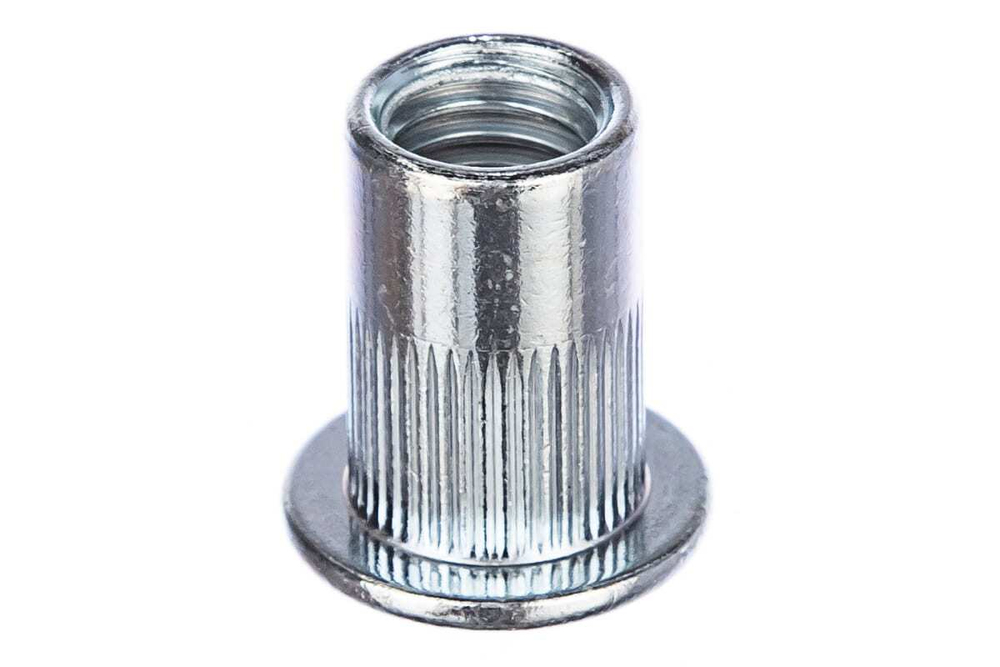 V95000006
