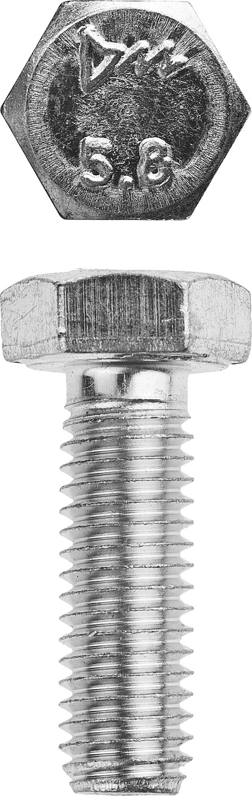 ЗУБР ГОСТ 7798-70, кл. пр. 5.8, M8 х 25 мм, цинк, 5 кг, болт (303080-08-025)
