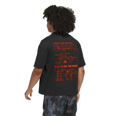 Баскетбольная мужская футболка adidas Anted GFX Tee