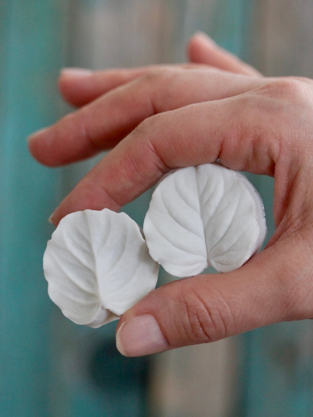 Набор вайнеров для лепки листьев эвкалипта Coprussia