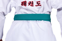 Пояс для тхэквондо ProfSport с вышивкой зеленый