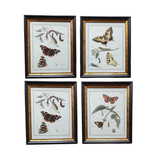 Постер Бабочки 29х35 см