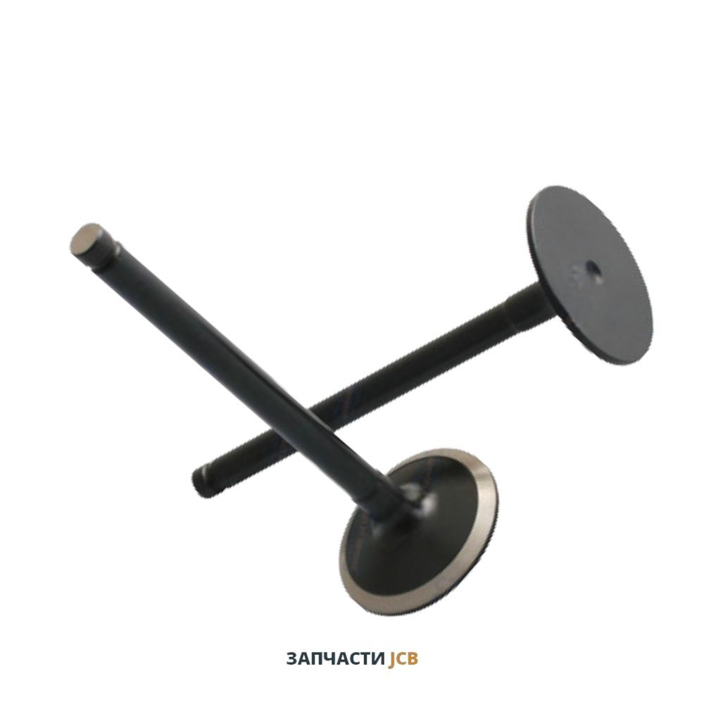 Впускной клапан RG JCB 02/202941, F01/31424