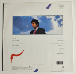 Винтажная виниловая пластинка LP Chris de Burgh Into The Light The Lady In Red (Germany 1986)