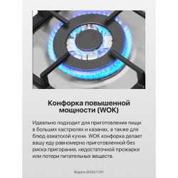 Газовая панель Hansa BHGI611391