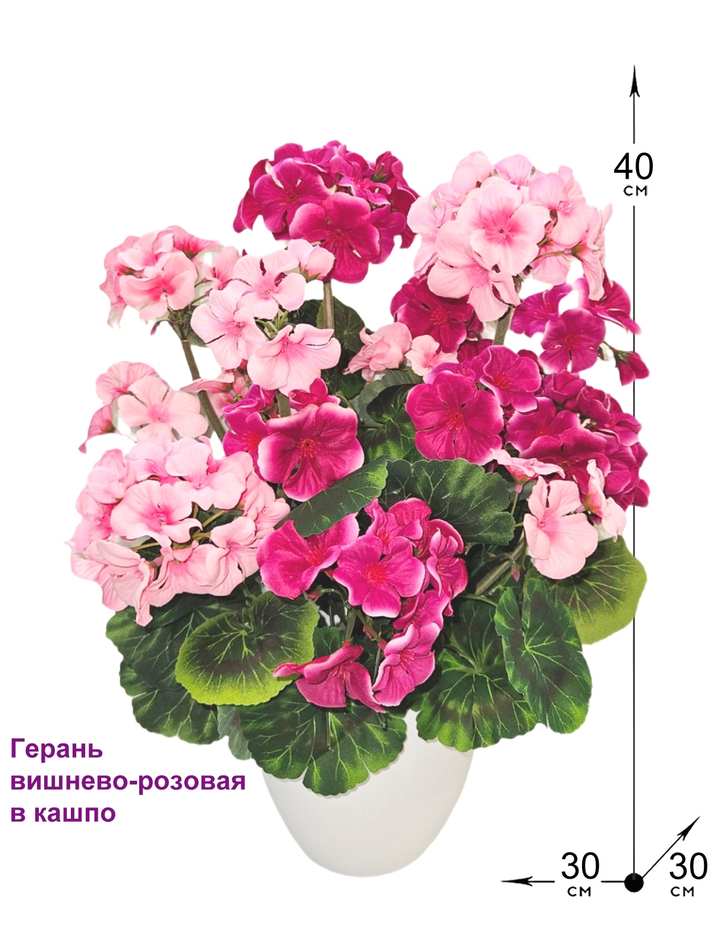 Искусственные цветы Герань вишнево-розовая густая 40см в белом кашпо