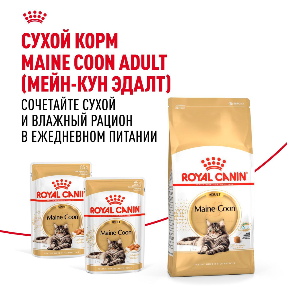 Royal Canin Maine Coon Adult Корм консервированный для взрослых кошек породы Мэйн Кун соус 85г