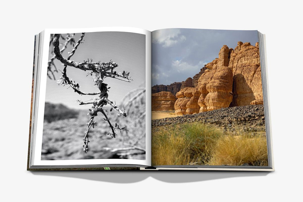 Книга Assouline AlUla Flora в твердом переплете