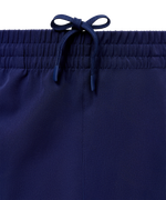 Брюки парадные INSANE RBF, синий