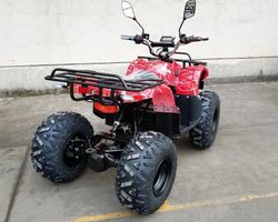 Квадроцикл GreenCamel Атакама T320 (48V 1000W R8 Дифференциал)