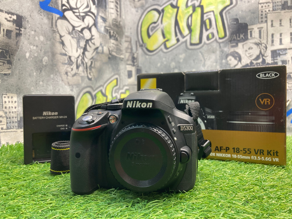 Nikon D5300 1.900 кадров