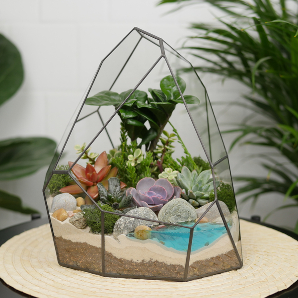 Готовый флорариум с суккулентами Hill с озером
