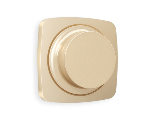 OP6055 Лицевая панель OMEGA (Шампань) для светорегулятора универсального QUANT