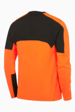 Футболка Nike Team Handball Goalkeeper