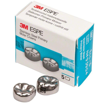 Второй нижний левый моляр, размер 6 (E-LL-6)