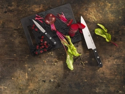 Zwilling Набор из 4 ножей Gourmet в блоке