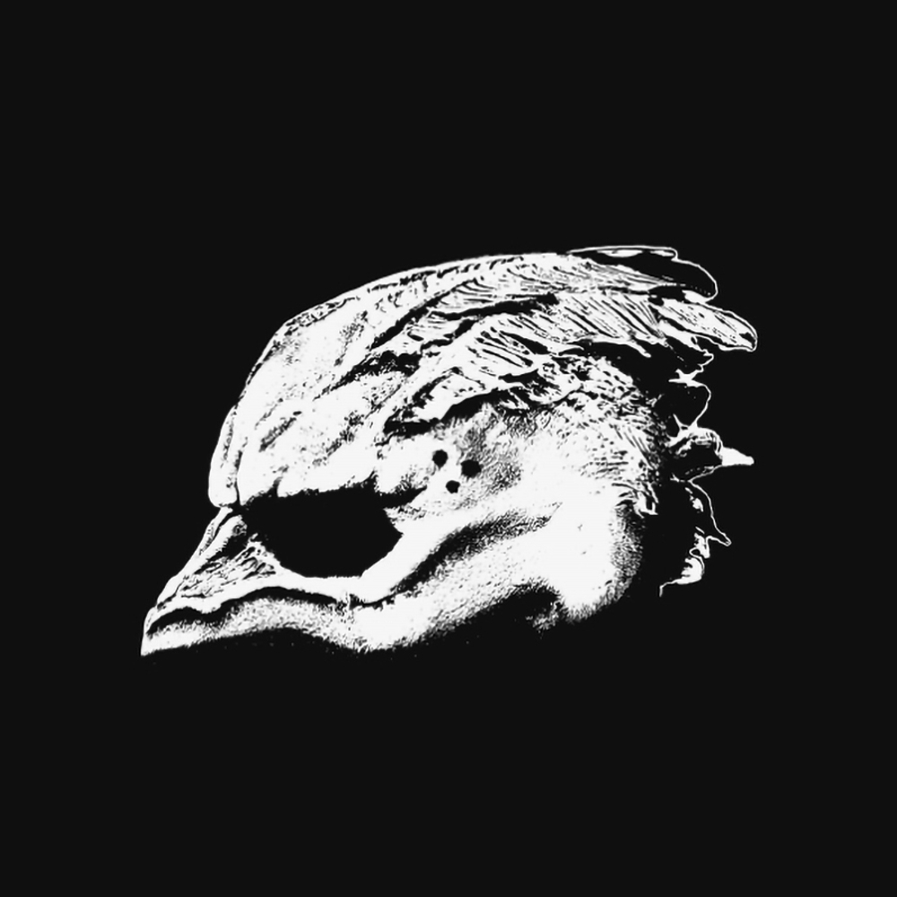 Legend Of The Seagullmen / Legend Of The Seagullmen (LP)