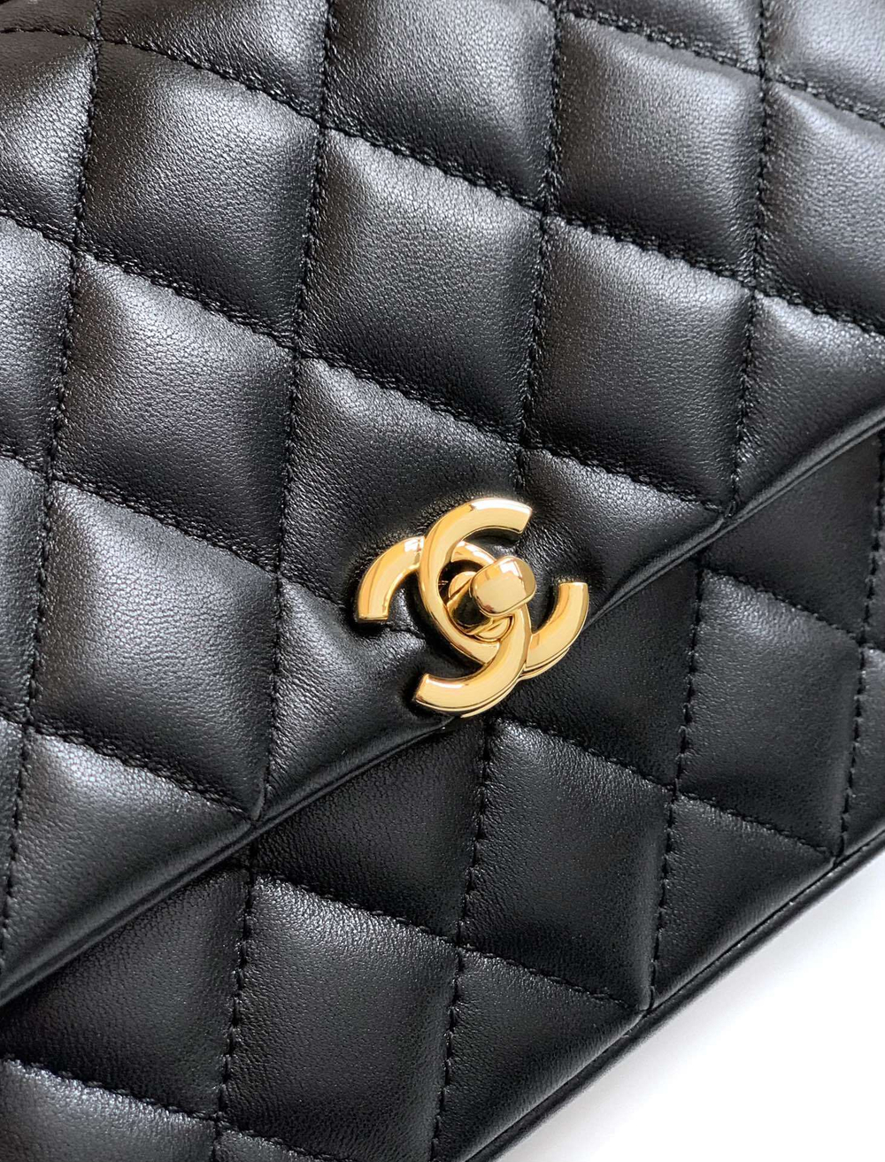 Chanel Bag 22 cm