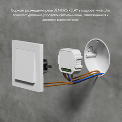 Wi-Fi реле одноканальное Denkirs RL1003-DM