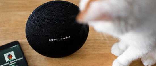 Обзор Harman Kardon Onyx Mini