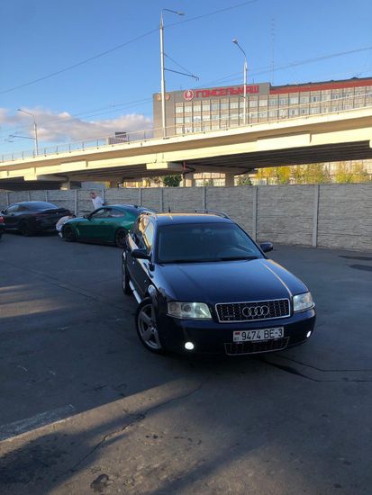 Листва (молдинги) на двери RS для Audi A6 S6 C5