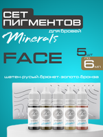 Сет минеральных пигментов для бровей FACE 6мл 5 шт