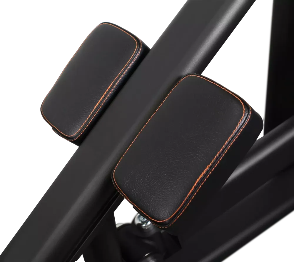 Т-образная профессиональная тяга BRONZE GYM PL-1718