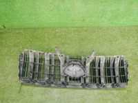 Решетка радиатора Toyota Land Cruiser Prado 150 (2009-2013)