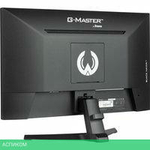 Игровой монитор Iiyama G-Master Black Hawk G2445HSU-B1