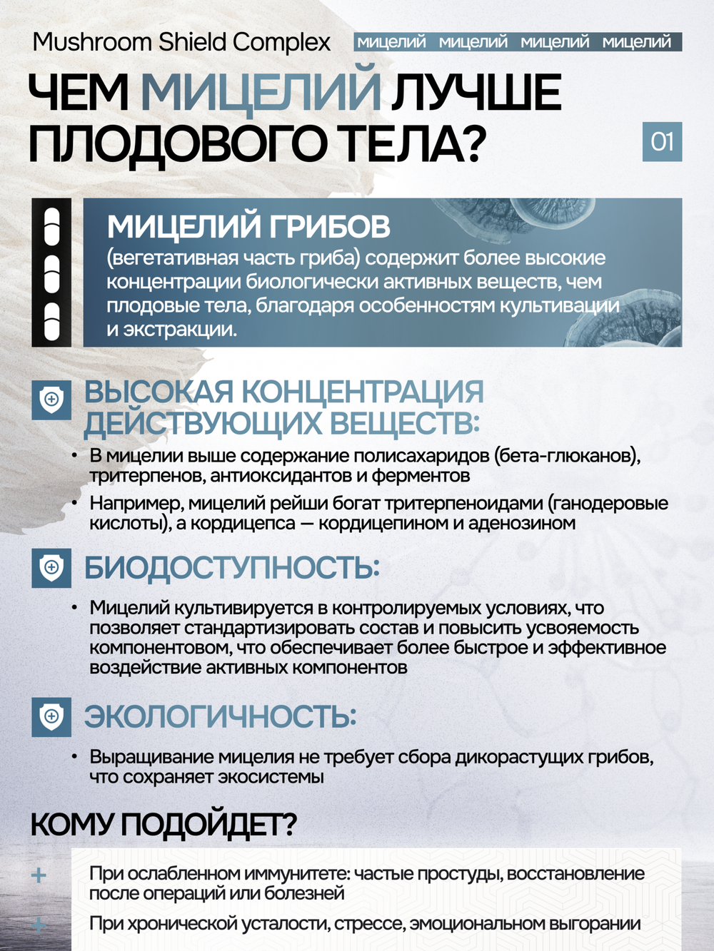 Грибной щит 90 капсул