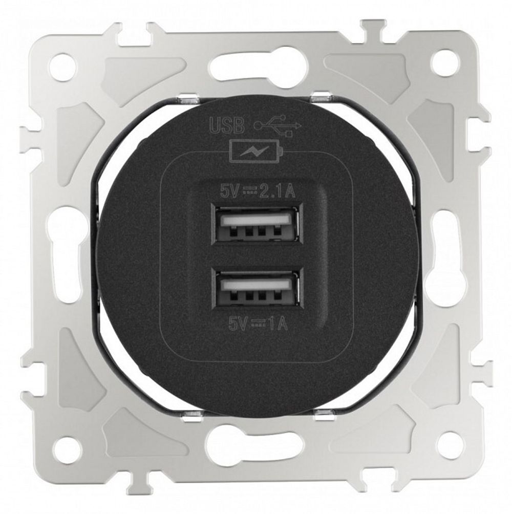 Розетка USB, без рамки Arte Milano am-202 202.46-1.black