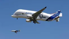47cm A330-743L Beluga