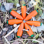 Шнуровка Морковки Леснушки