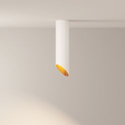 Светильник потолочный Maytoni   C044CL-01-25GU10-W