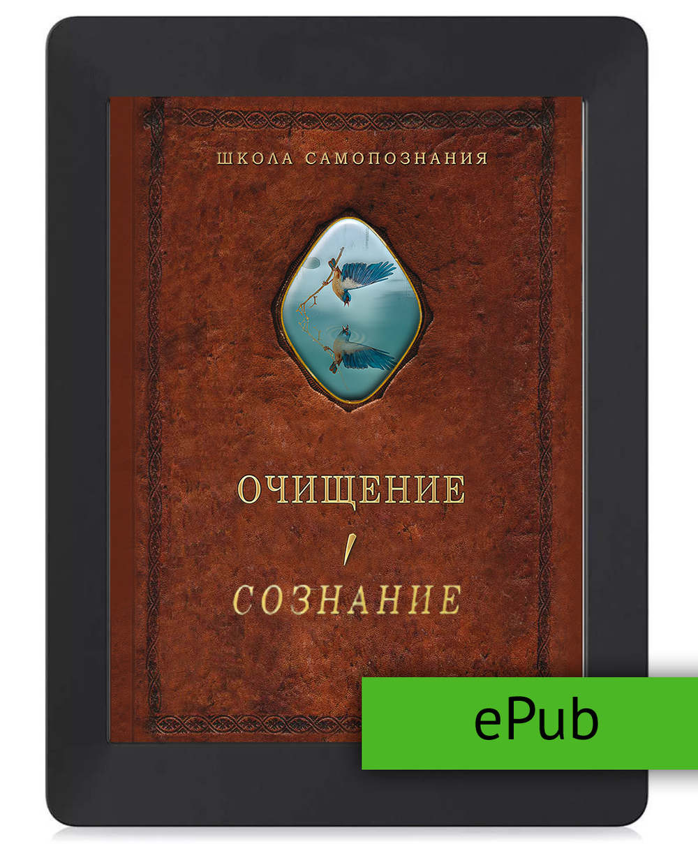 Шевцов А. Очищение. Том 1. Сознание. ePub