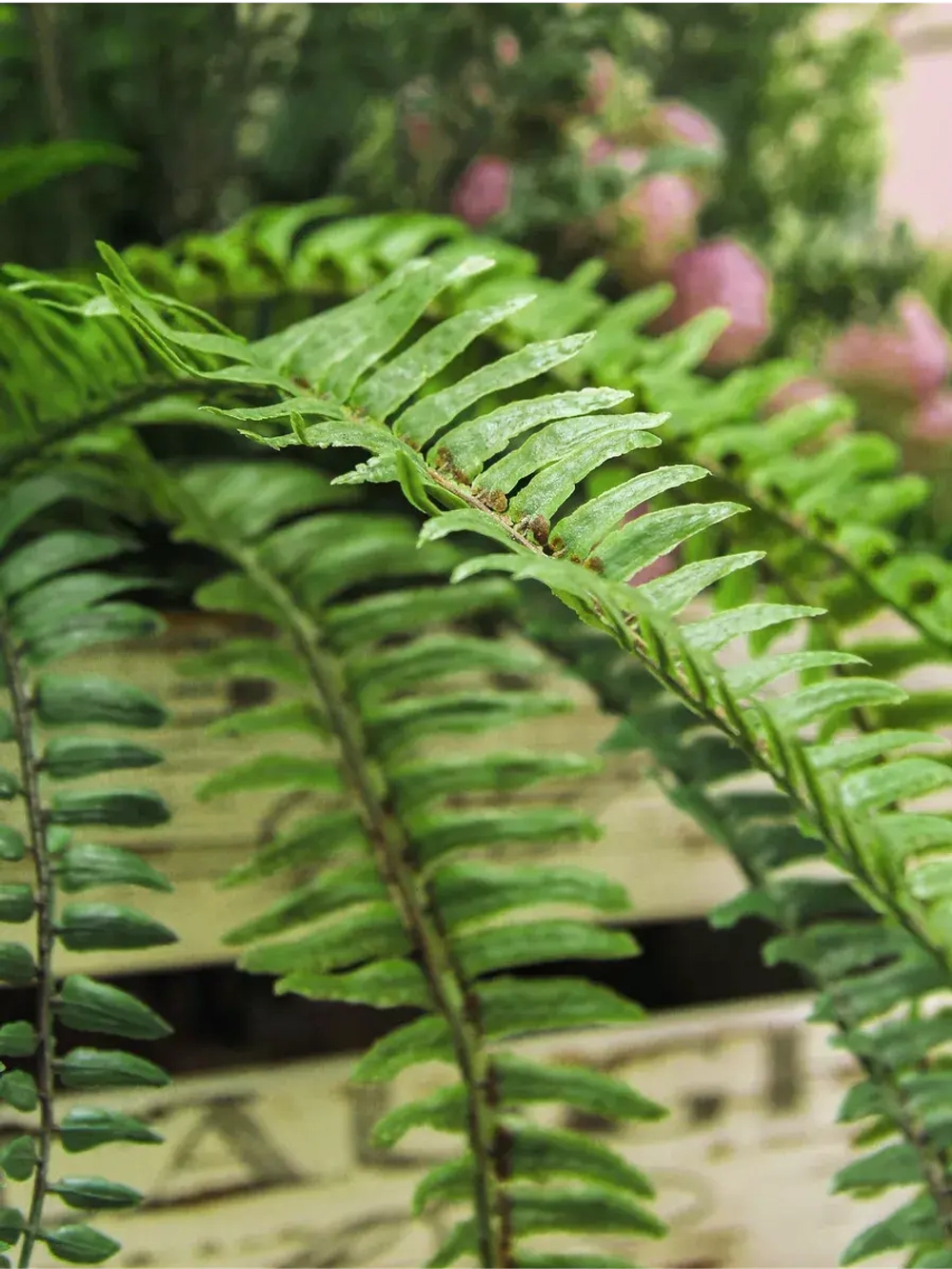 Искусственные цветы для декора в кашпо