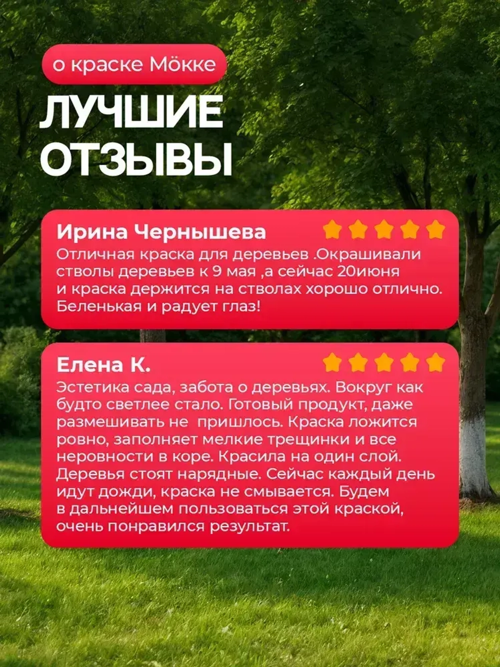 Краска для садовых деревьев и кустарников МОККЕ 6 кг, побелка для деревьев