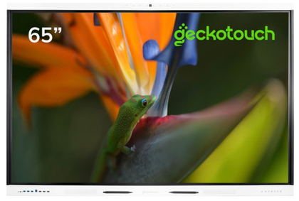Интерактивный комплекс Geckotouch Interactive 65RK