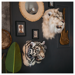 Реплика головы «Африканский лев»