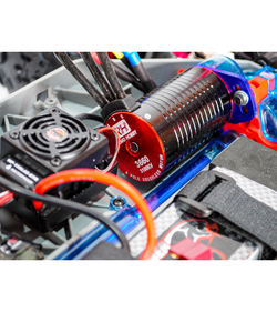 Радиоуправляемый монстр Remo Hobby Dinosaurs Master Brushless UPGRADE PLUS (синий) 4WD 2.4G 1/8 RTR