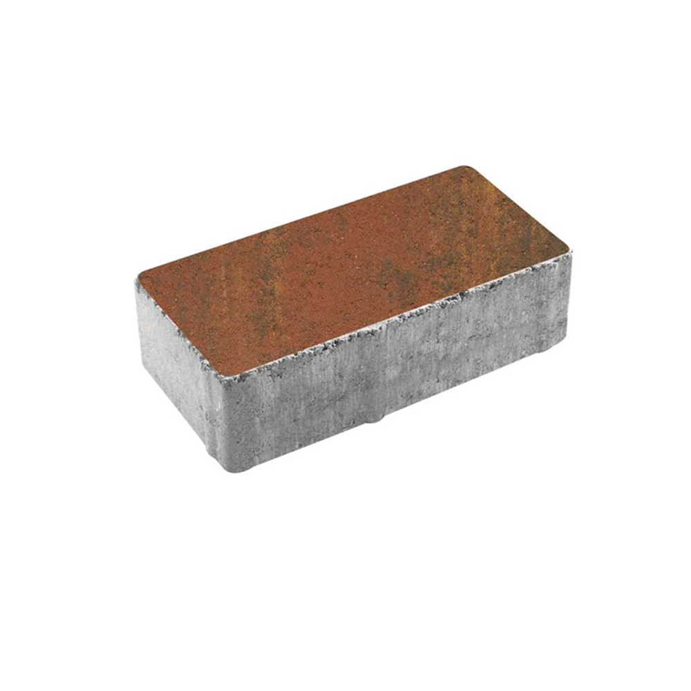 Тротуарная плитка ПРЯМОУГОЛЬНИК 200x100 мм - Листопад гладкий Арабская ночь